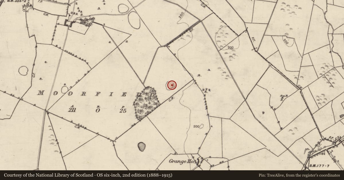 Ordnance Survey six-inch map, 2nd edition (1888–1915) covering the location of Ringfort - rath, Moorfield, County Galway, with a pin at the register's coordinates