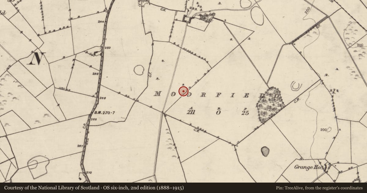 Ordnance Survey six-inch map, 2nd edition (1888–1915) covering the location of Ringfort - rath, Moorfield, County Galway, with a pin at the register's coordinates