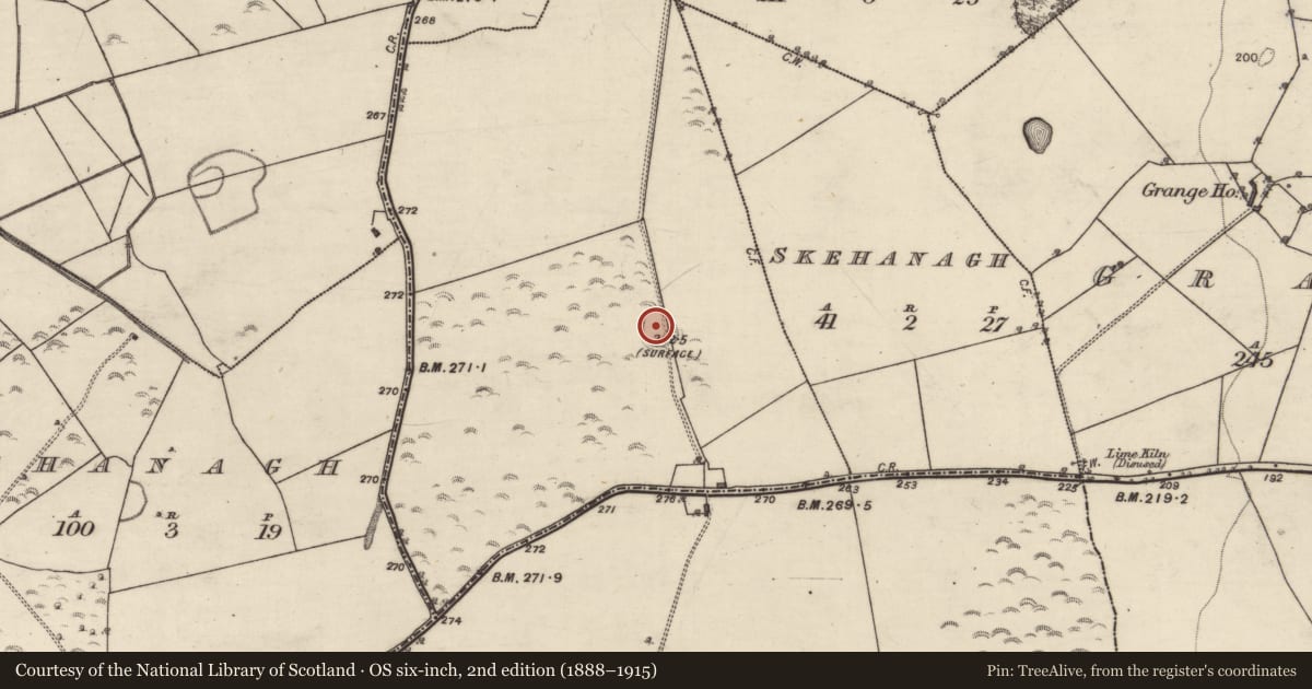 Ordnance Survey six-inch map, 2nd edition (1888–1915) covering the location of Barrow - unclassified, Moorfield, County Galway, with a pin at the register's coordinates