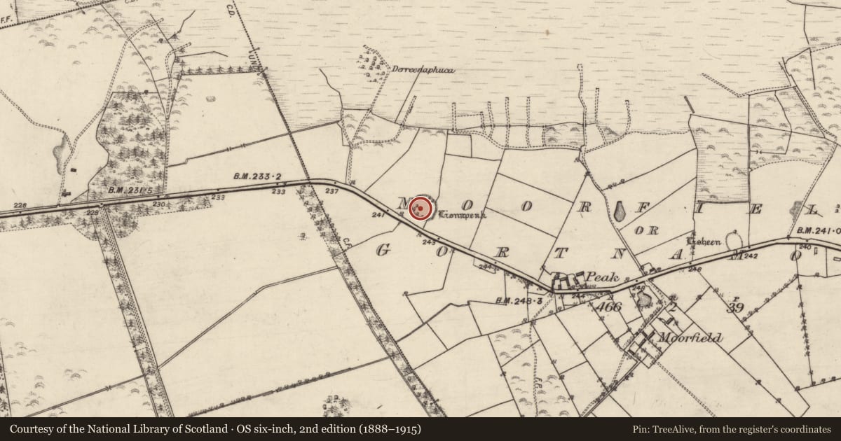Ordnance Survey six-inch map, 2nd edition (1888–1915) covering the location of Ringfort - rath, Moorfield Or Gortnamona, County Galway, with a pin at the register's coordinates