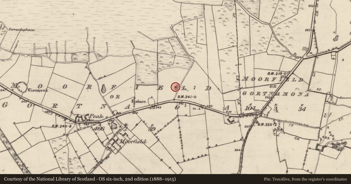 Ordnance Survey six-inch map, 2nd edition (1888–1915) covering the location of Quarry, Moorfield Or Gortnamona, County Galway, with a pin at the register's coordinates