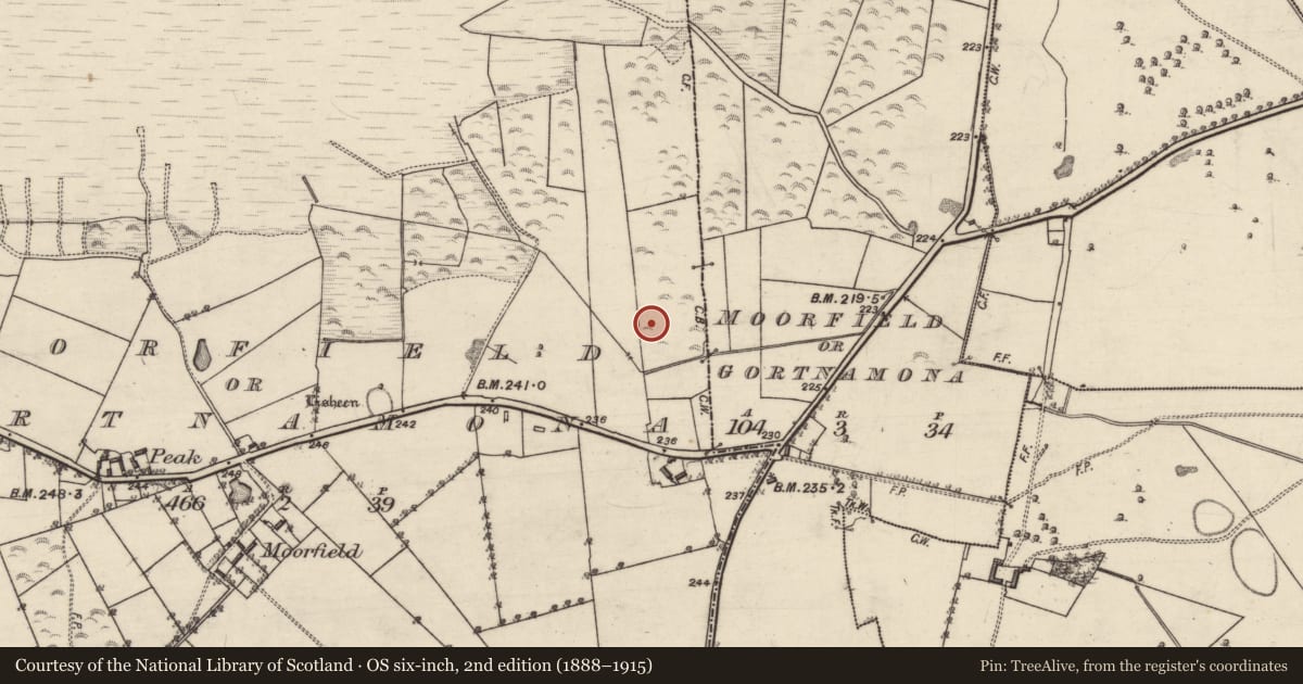 Ordnance Survey six-inch map, 2nd edition (1888–1915) covering the location of Quarry, Moorfield Or Gortnamona, County Galway, with a pin at the register's coordinates