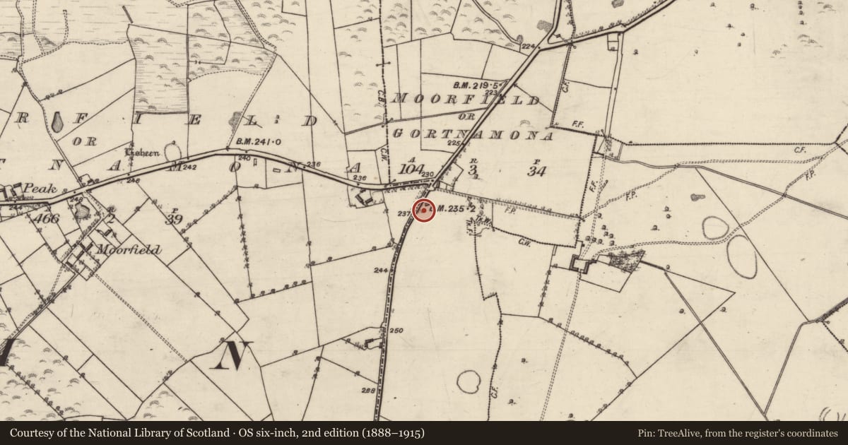 Ordnance Survey six-inch map, 2nd edition (1888–1915) covering the location of Quarry, Moorfield Or Gortnamona, County Galway, with a pin at the register's coordinates