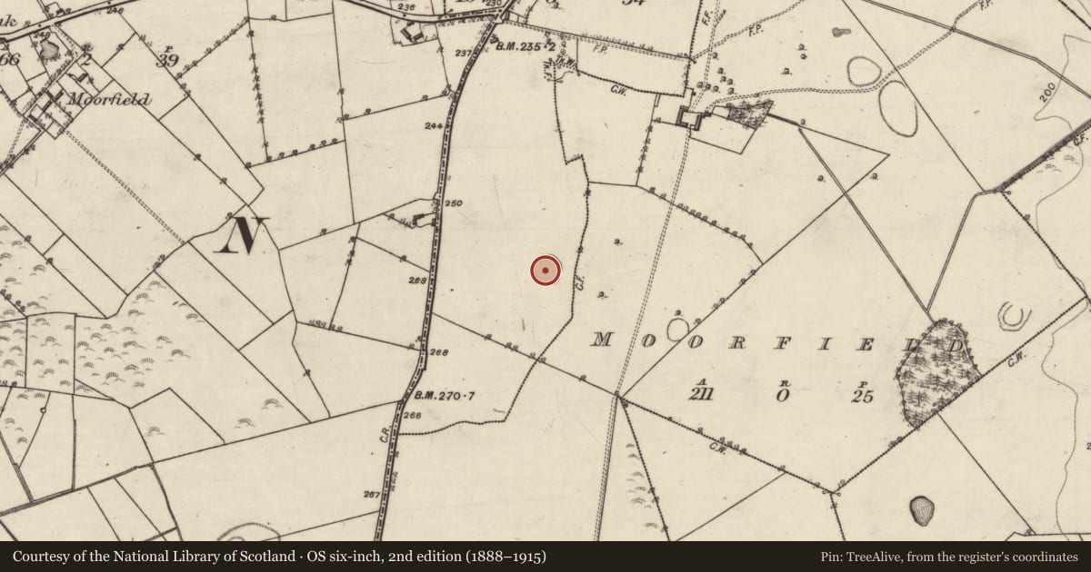 Ordnance Survey six-inch map, 2nd edition (1888–1915) covering the location of Ringfort - rath, Moorfield Or Gortnamona, County Galway, with a pin at the register's coordinates
