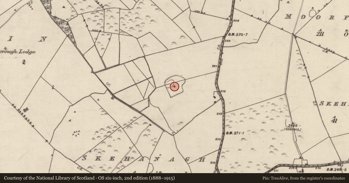 Ordnance Survey six-inch map, 2nd edition (1888–1915) covering the location of Earthwork, Moorfield Or Gortnamona, County Galway, with a pin at the register's coordinates