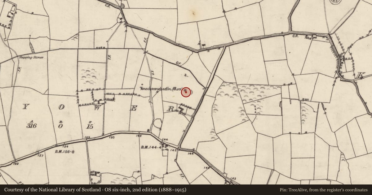 Ordnance Survey six-inch map, 2nd edition (1888–1915) covering the location of Children's burial ground, Moyower, County Galway, with a pin at the register's coordinates