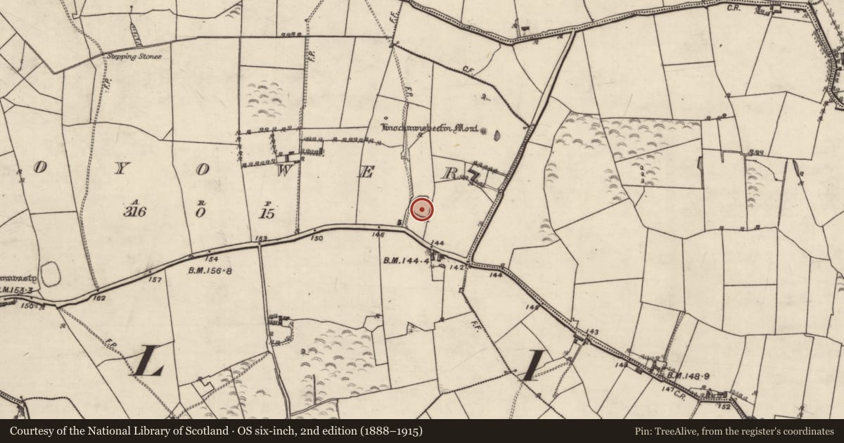 Ordnance Survey six-inch map, 2nd edition (1888–1915) covering the location of Ringfort - rath, Moyower, County Galway, with a pin at the register's coordinates