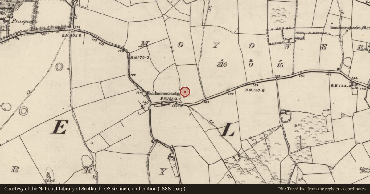 Ordnance Survey six-inch map, 2nd edition (1888–1915) covering the location of Ringfort - rath, Moyower, County Galway, with a pin at the register's coordinates