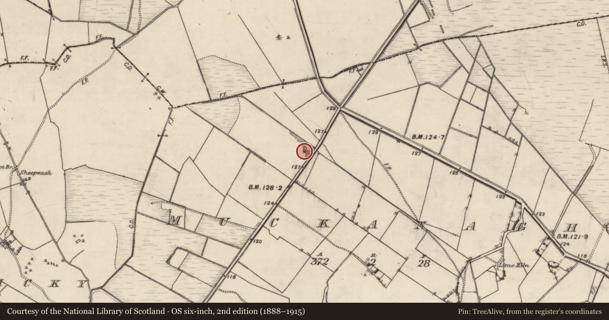 Ordnance Survey six-inch map, 2nd edition (1888–1915) covering the location of Quarry, Muckanagh, County Galway, with a pin at the register's coordinates