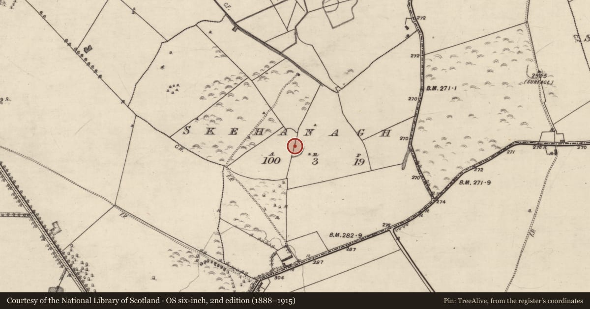 Ordnance Survey six-inch map, 2nd edition (1888–1915) covering the location of Ringfort - rath, Skehanagh, County Galway, with a pin at the register's coordinates
