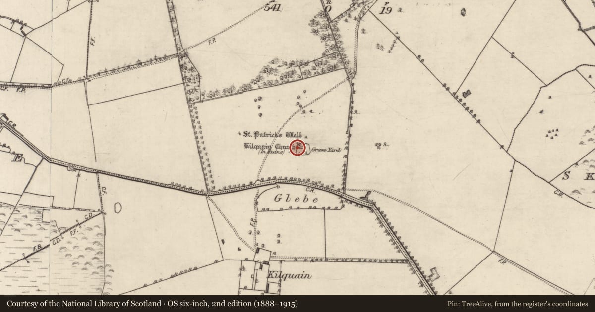 Ordnance Survey six-inch map, 2nd edition (1888–1915) covering the location of Church, Stowlin, County Galway, with a pin at the register's coordinates