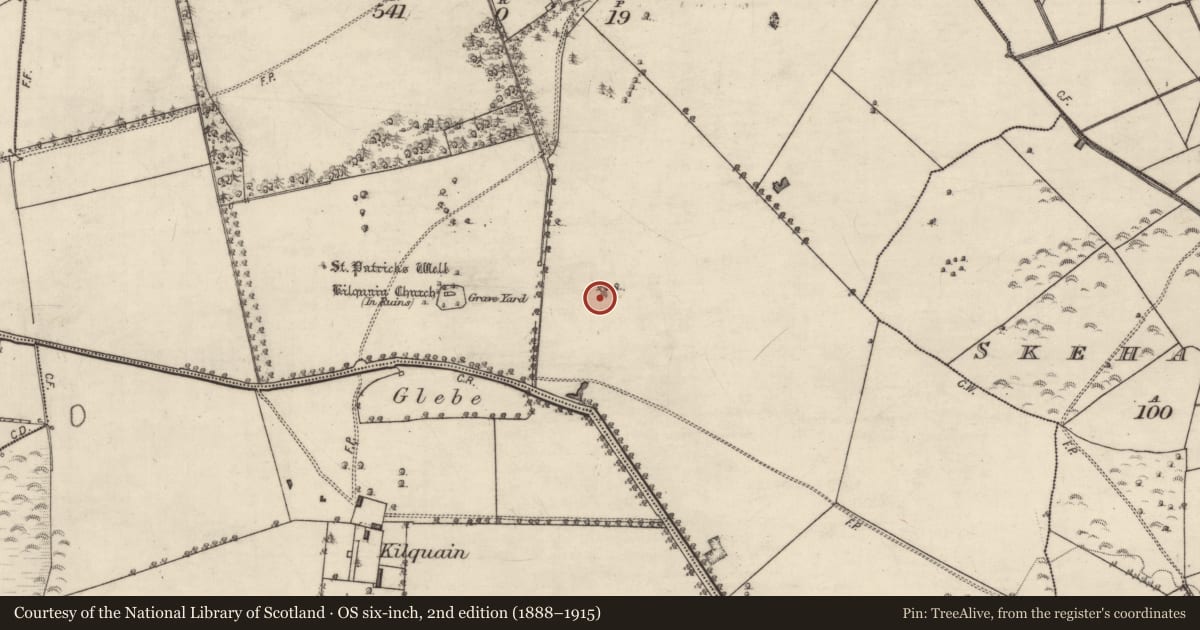 Ordnance Survey six-inch map, 2nd edition (1888–1915) covering the location of Quarry, Stowlin, County Galway, with a pin at the register's coordinates