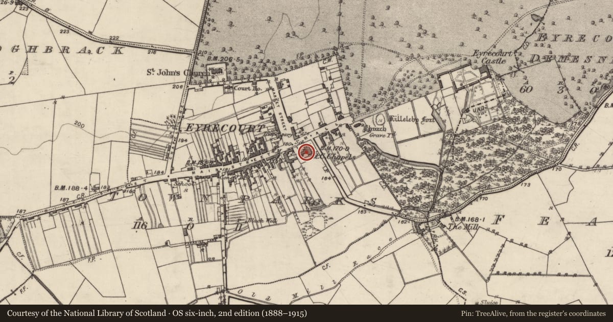 Ordnance Survey six-inch map, 2nd edition (1888–1915) covering the location of Church, Townparks (Longford By. - Eyrecourt), County Galway, with a pin at the register's coordinates