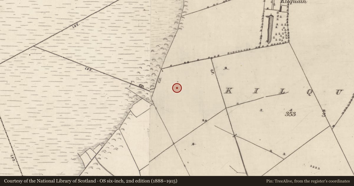 Ordnance Survey six-inch map, 2nd edition (1888–1915) covering the location of Quarry, Woodfield, County Galway, with a pin at the register's coordinates