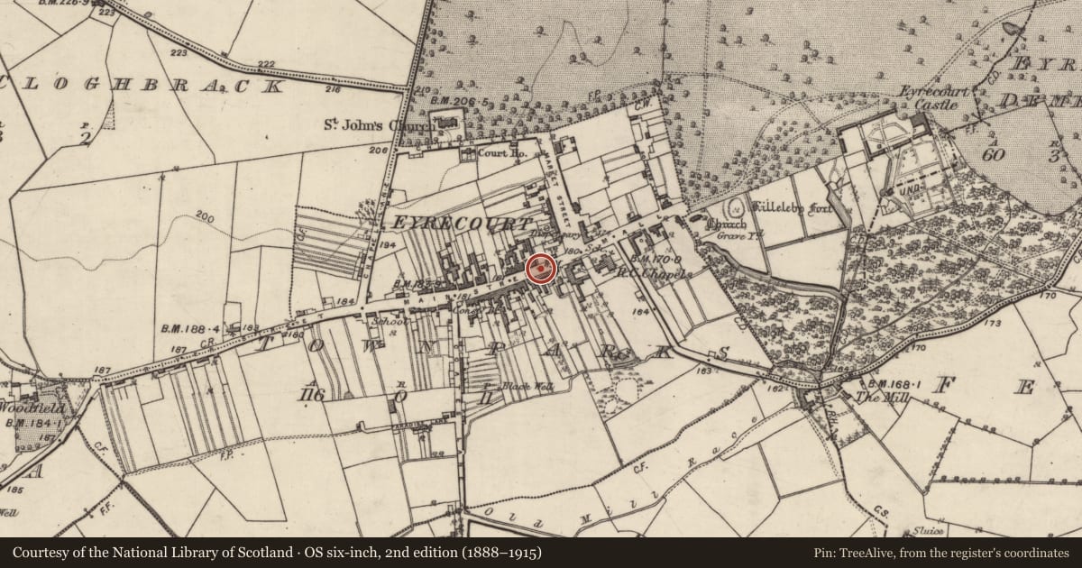 Ordnance Survey six-inch map, 2nd edition (1888–1915) covering the location of Town, Townparks (Longford By. - Eyrecourt), County Galway, with a pin at the register's coordinates