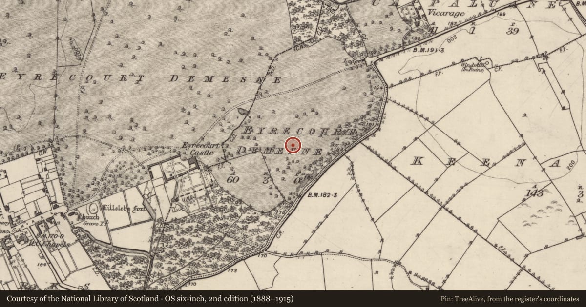 Ordnance Survey six-inch map, 2nd edition (1888–1915) covering the location of Barrow - ring-barrow, Eyrecourt Demesne, County Galway, with a pin at the register's coordinates