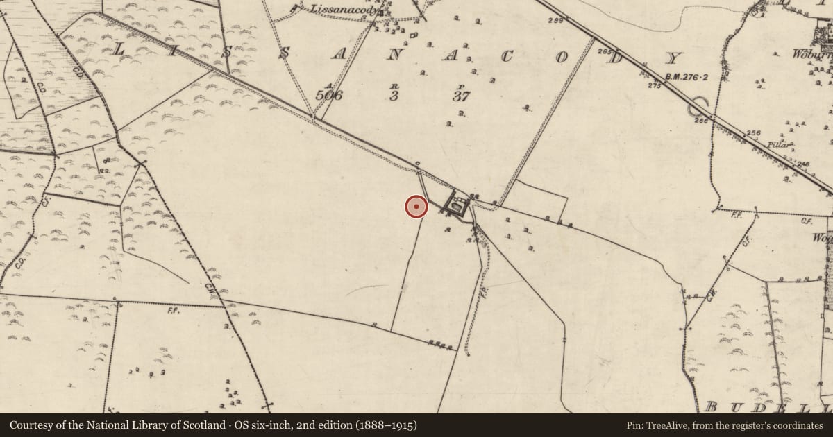 Ordnance Survey six-inch map, 2nd edition (1888–1915) covering the location of Quarry, Lissanacody, County Galway, with a pin at the register's coordinates