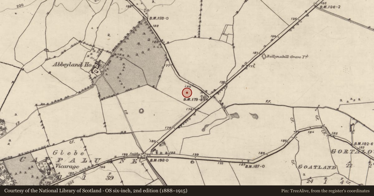 Ordnance Survey six-inch map, 2nd edition (1888–1915) covering the location of Fulacht fia, Abbeyland Great, County Galway, with a pin at the register's coordinates