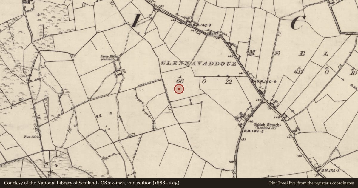 Ordnance Survey six-inch map, 2nd edition (1888–1915) covering the location of Enclosure, Glennavaddoge, County Galway, with a pin at the register's coordinates