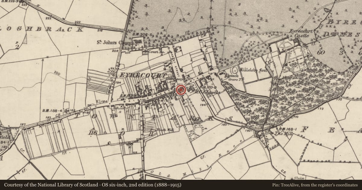 Ordnance Survey six-inch map, 2nd edition (1888–1915) covering the location of Architectural feature, Townparks (Longford By. - Eyrecourt), County Galway, with a pin at the register's coordinates