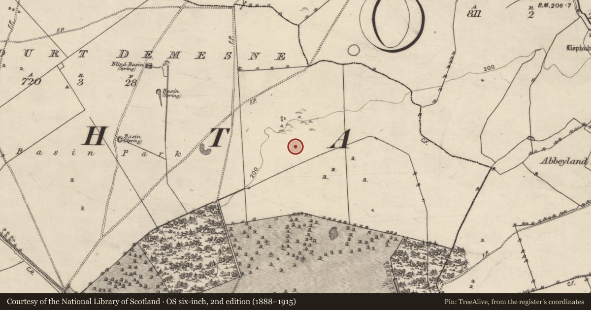 Ordnance Survey six-inch map, 2nd edition (1888–1915) covering the location of Decoy pond, Eyrecourt Demesne, County Galway, with a pin at the register's coordinates