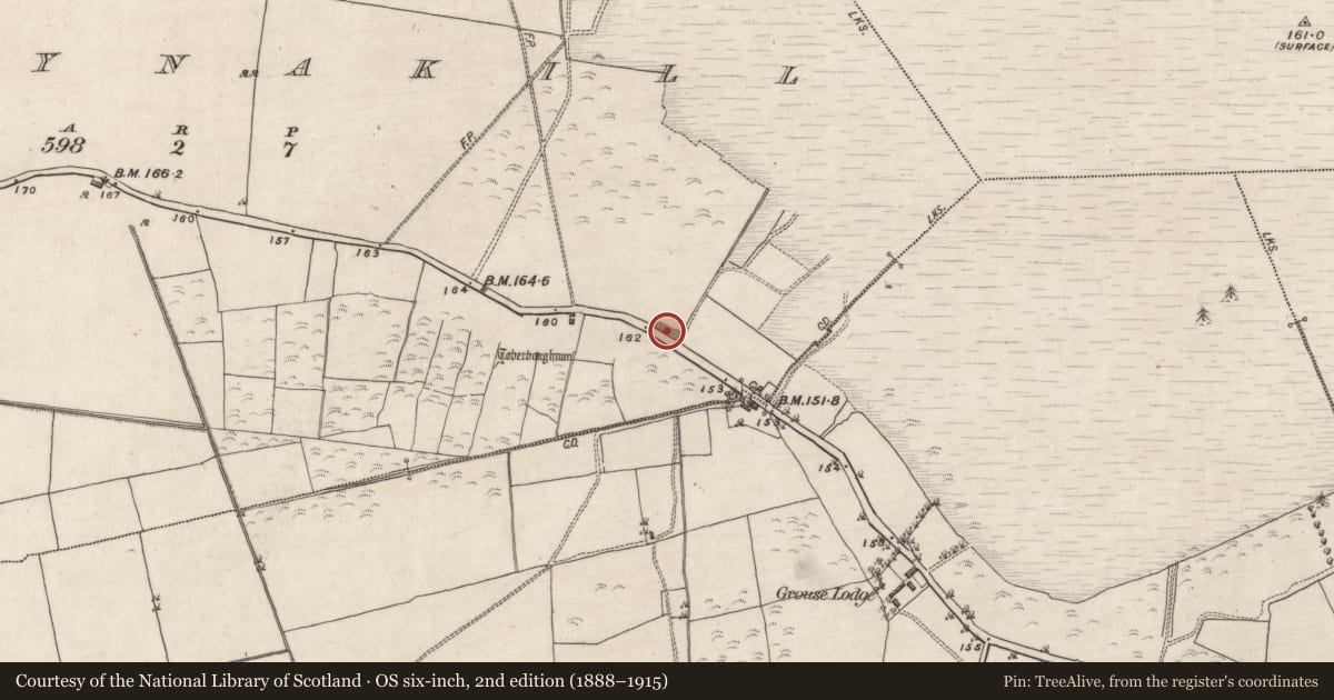 Ordnance Survey six-inch map, 2nd edition (1888–1915) covering the location of Quarry, Ballynakill, County Galway, with a pin at the register's coordinates