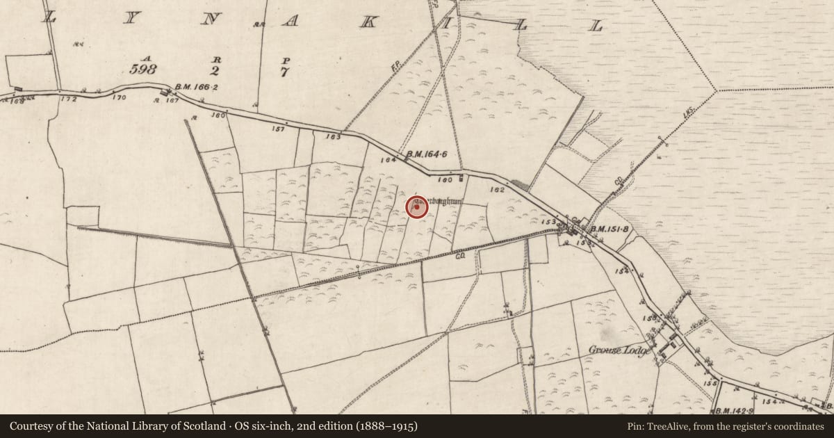 Ordnance Survey six-inch map, 2nd edition (1888–1915) covering the location of Ritual site - holy well, Ballynakill, County Galway, with a pin at the register's coordinates