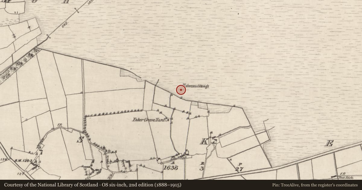 Ordnance Survey six-inch map, 2nd edition (1888–1915) covering the location of Ritual site - holy well, Esker, County Galway, with a pin at the register's coordinates