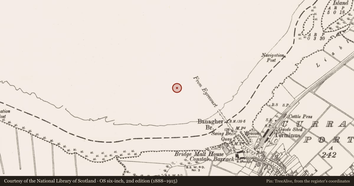 Ordnance Survey six-inch map, 2nd edition (1888–1915) covering the location of Mill - corn, Esker, County Galway, with a pin at the register's coordinates