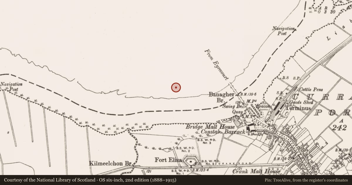 Ordnance Survey six-inch map, 2nd edition (1888–1915) covering the location of Canal, Esker, County Galway, with a pin at the register's coordinates