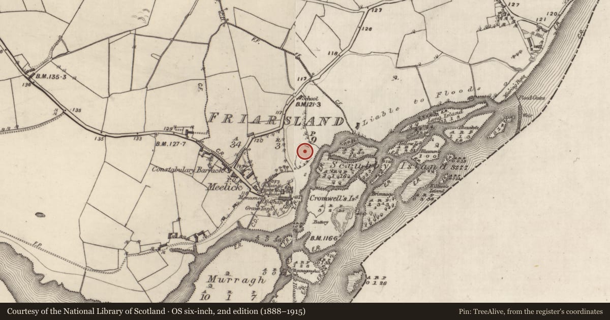 Ordnance Survey six-inch map, 2nd edition (1888–1915) covering the location of Castle - ringwork, Friarsland, County Galway, with a pin at the register's coordinates