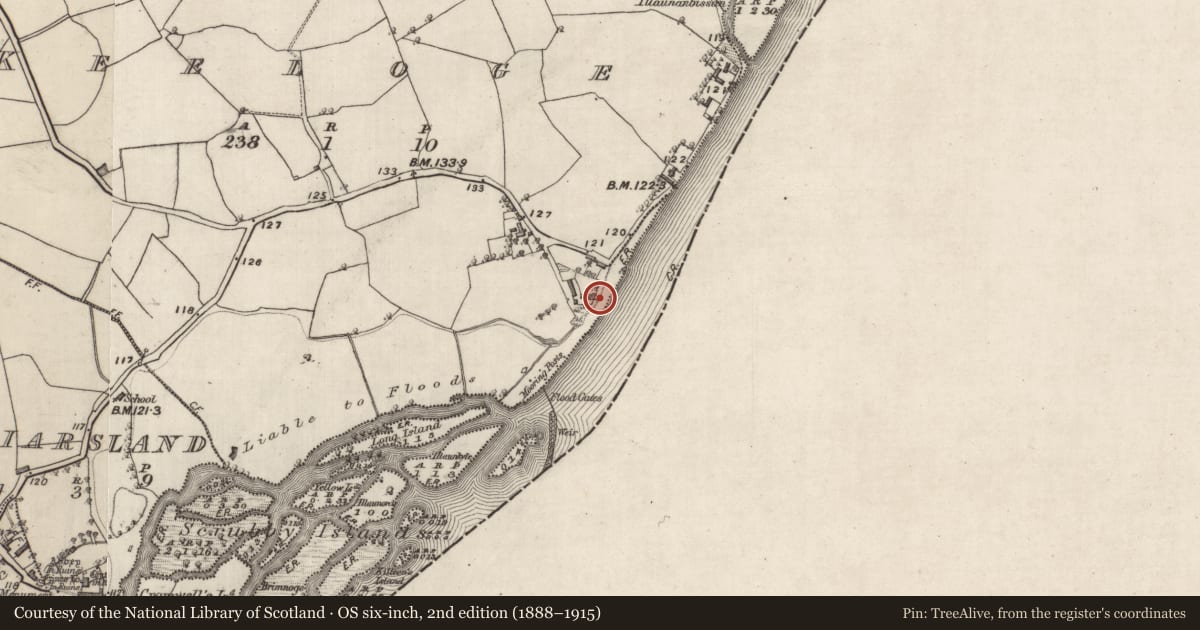 Ordnance Survey six-inch map, 2nd edition (1888–1915) covering the location of Mill - corn, Keeloge, County Galway, with a pin at the register's coordinates
