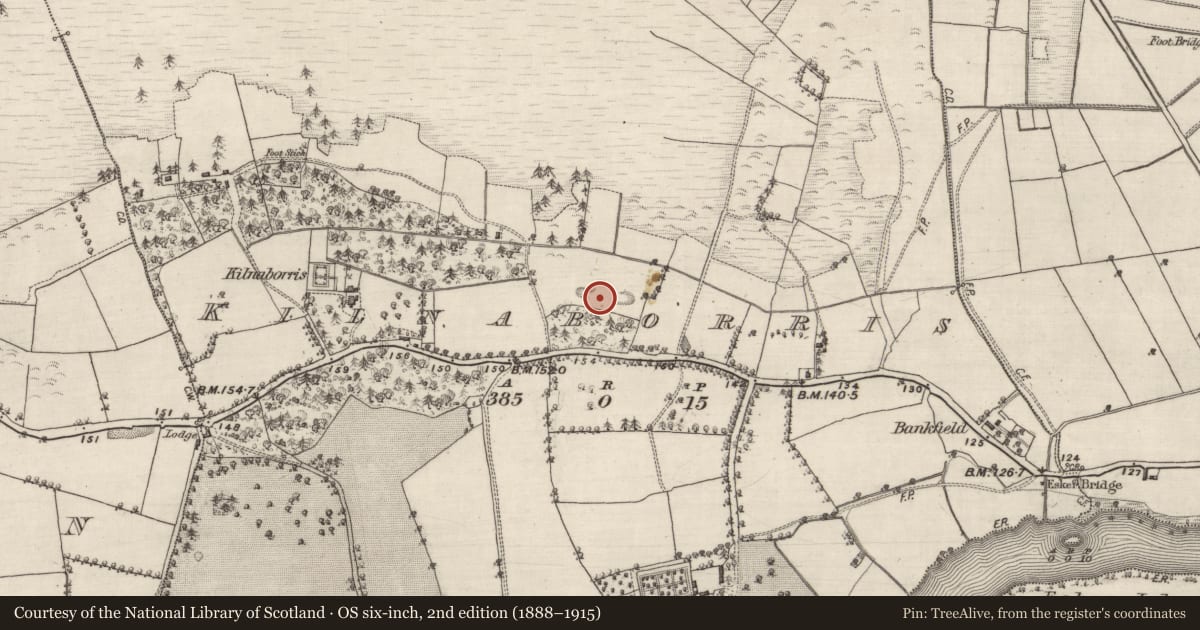 Ordnance Survey six-inch map, 2nd edition (1888–1915) covering the location of Quarry, Kilnaborris, County Galway, with a pin at the register's coordinates