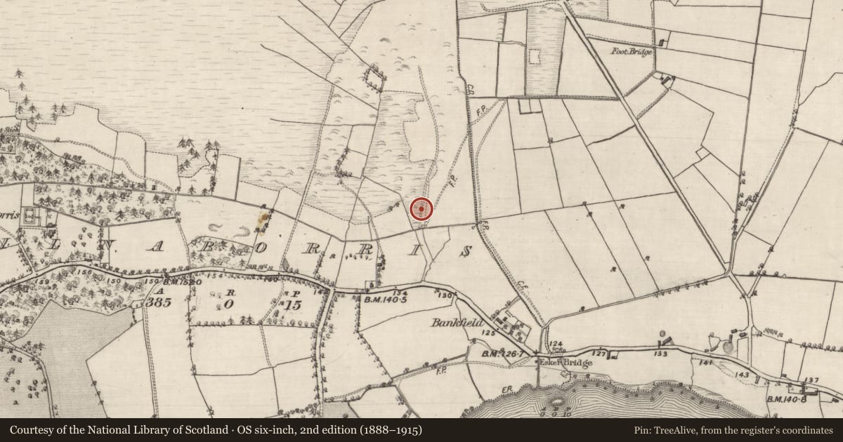 Ordnance Survey six-inch map, 2nd edition (1888–1915) covering the location of Mill - corn, Kilnaborris, County Galway, with a pin at the register's coordinates
