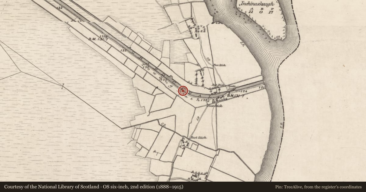 Ordnance Survey six-inch map, 2nd edition (1888–1915) covering the location of Canal, Reask, County Galway, with a pin at the register's coordinates
