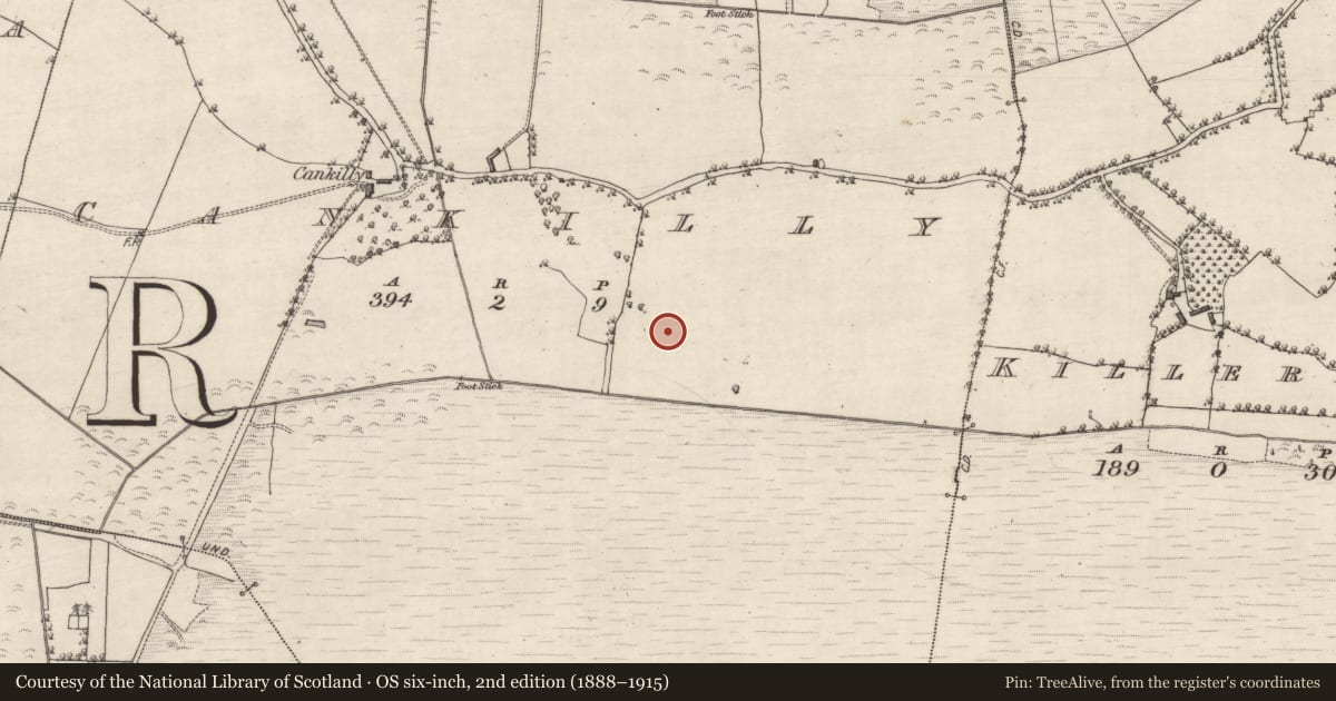 Ordnance Survey six-inch map, 2nd edition (1888–1915) covering the location of Fulacht fia, Cankilly, County Galway, with a pin at the register's coordinates