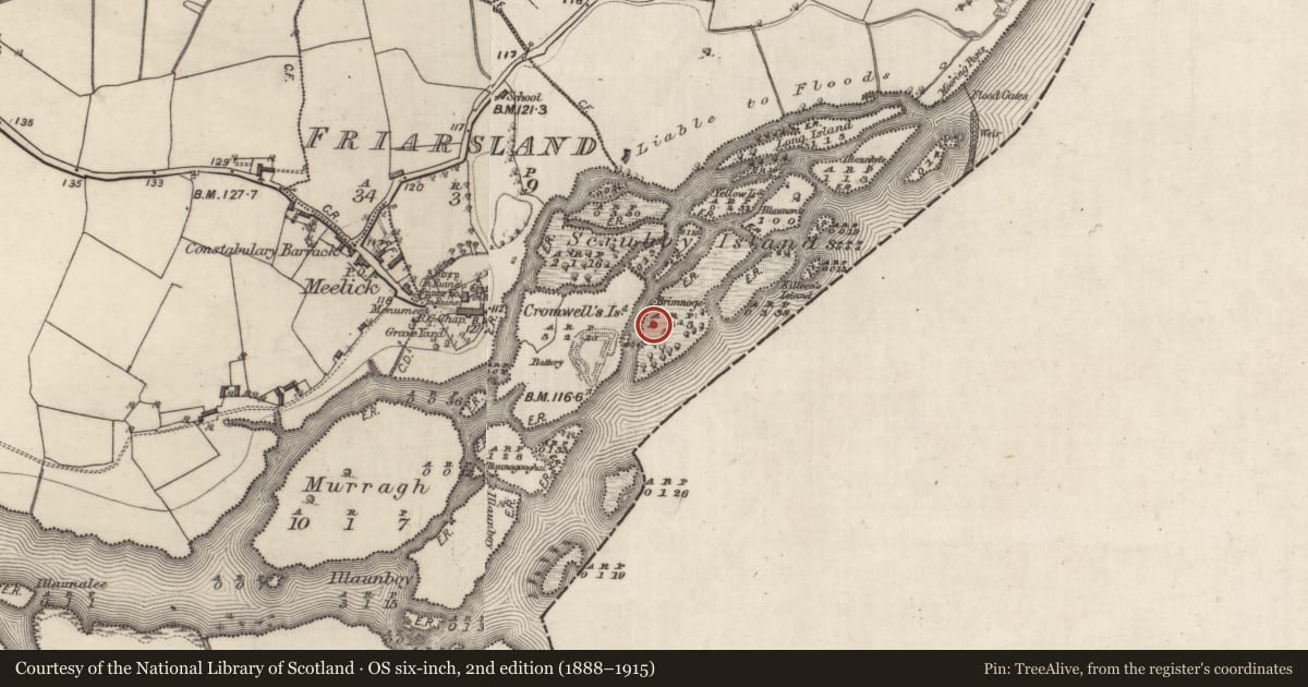 Ordnance Survey six-inch map, 2nd edition (1888–1915) covering the location of Weir - fish, River Shannon, County Galway, with a pin at the register's coordinates