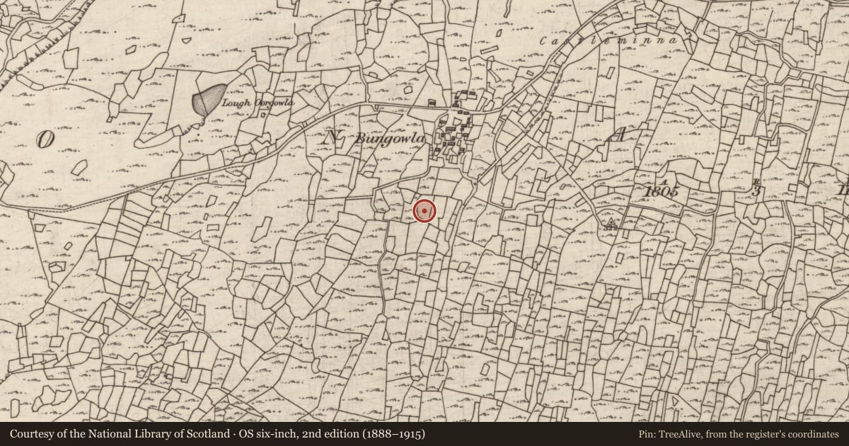 Ordnance Survey six-inch map, 2nd edition (1888–1915) covering the location of Mound, Eoghanacht, County Galway, with a pin at the register's coordinates