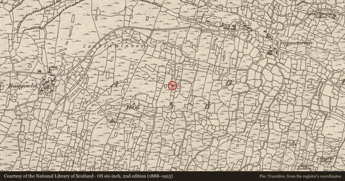 Ordnance Survey six-inch map, 2nd edition (1888–1915) covering the location of Distillery, Eoghanacht, County Galway, with a pin at the register's coordinates
