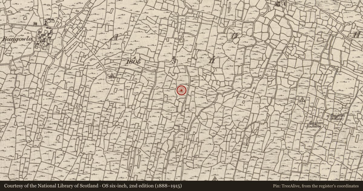 Ordnance Survey six-inch map, 2nd edition (1888–1915) covering the location of Clochan, Eoghanacht, County Galway, with a pin at the register's coordinates