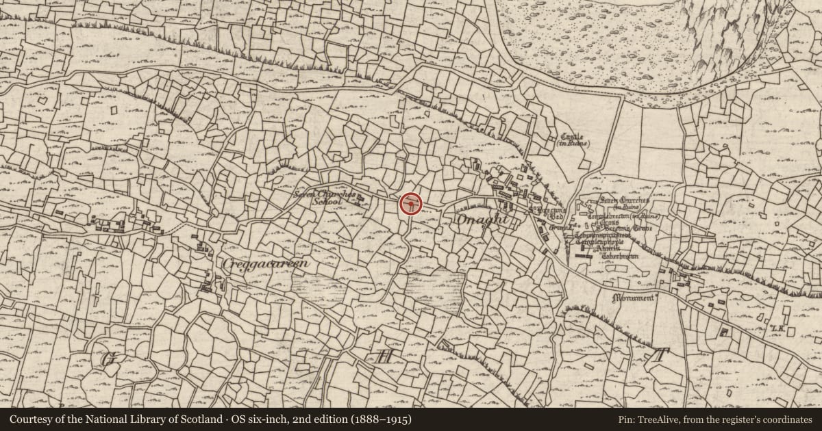 Ordnance Survey six-inch map, 2nd edition (1888–1915) covering the location of Memorial stone, Eoghanacht, County Galway, with a pin at the register's coordinates