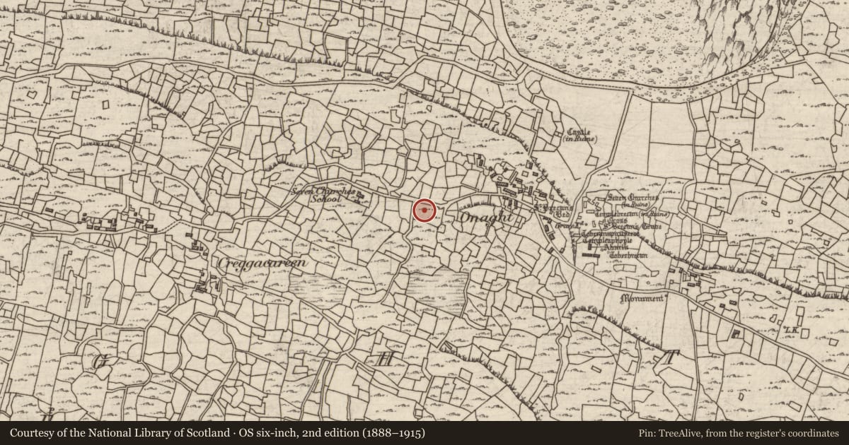 Ordnance Survey six-inch map, 2nd edition (1888–1915) covering the location of Memorial stone, Eoghanacht, County Galway, with a pin at the register's coordinates