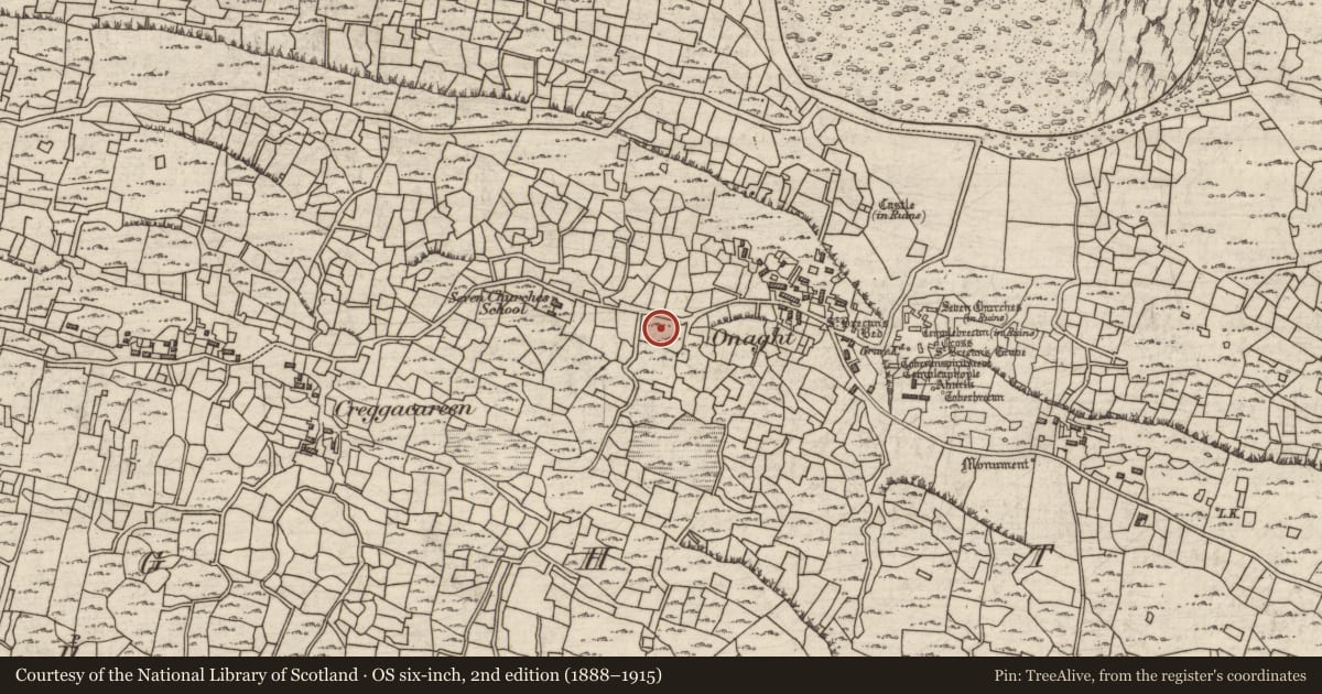 Ordnance Survey six-inch map, 2nd edition (1888–1915) covering the location of Cross, Eoghanacht, County Galway, with a pin at the register's coordinates