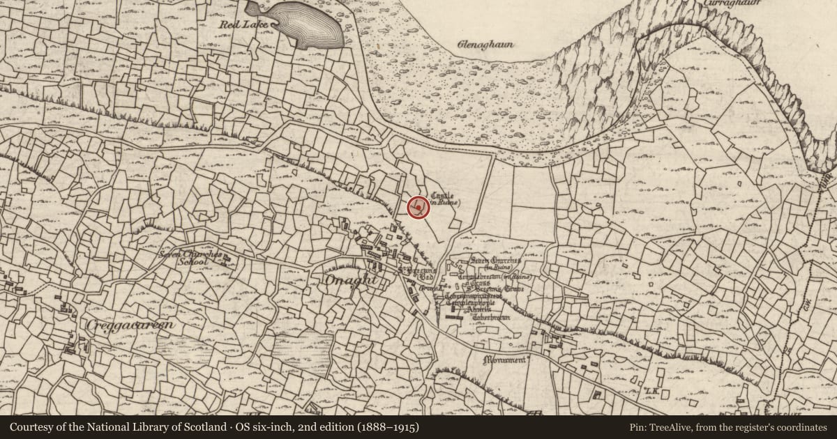 Ordnance Survey six-inch map, 2nd edition (1888–1915) covering the location of Structure, Eoghanacht, County Galway, with a pin at the register's coordinates