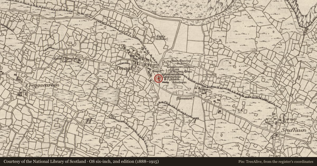 Ordnance Survey six-inch map, 2nd edition (1888–1915) covering the location of Church, Eoghanacht, County Galway, with a pin at the register's coordinates