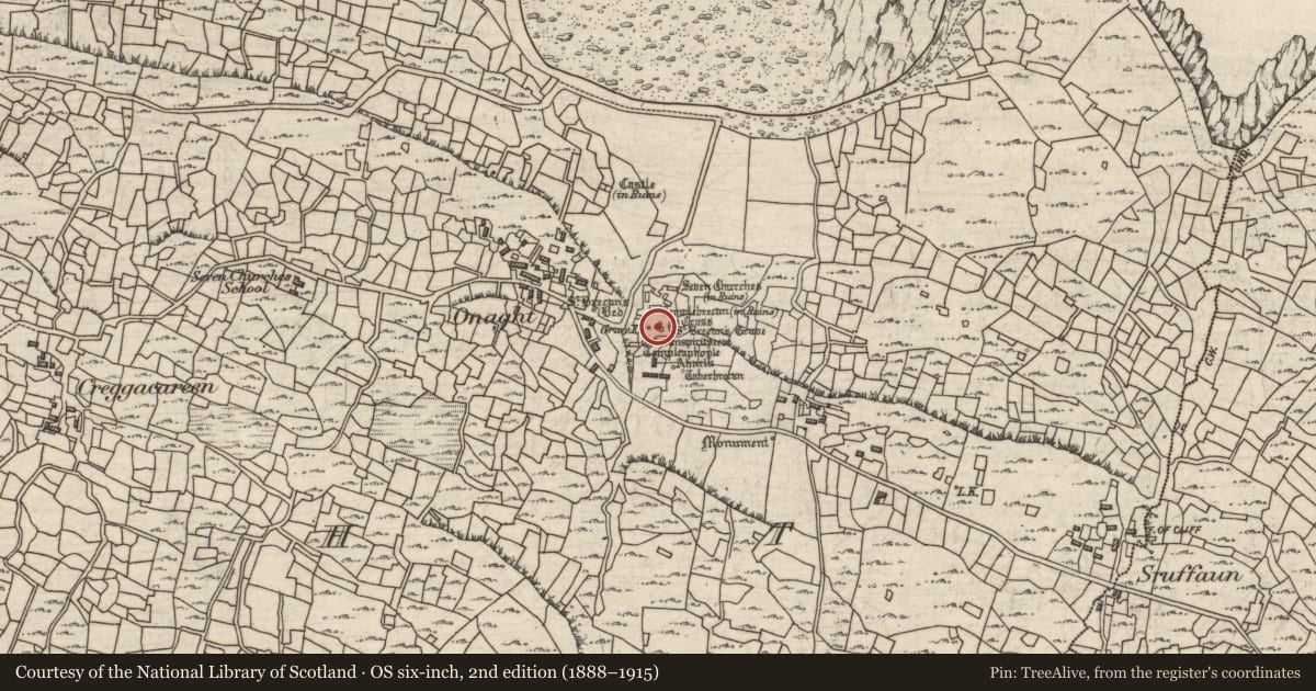 Ordnance Survey six-inch map, 2nd edition (1888–1915) covering the location of Graveyard, Eoghanacht, County Galway, with a pin at the register's coordinates