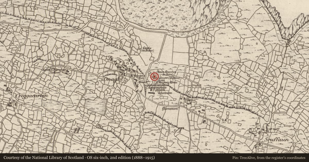 Ordnance Survey six-inch map, 2nd edition (1888–1915) covering the location of Building, Eoghanacht, County Galway, with a pin at the register's coordinates