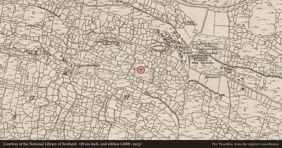 Ordnance Survey six-inch map, 2nd edition (1888–1915) covering the location of Ritual site - holy well, Eoghanacht, County Galway, with a pin at the register's coordinates