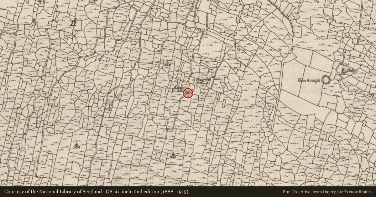 Ordnance Survey six-inch map, 2nd edition (1888–1915) covering the location of Clochan, Eoghanacht, County Galway, with a pin at the register's coordinates