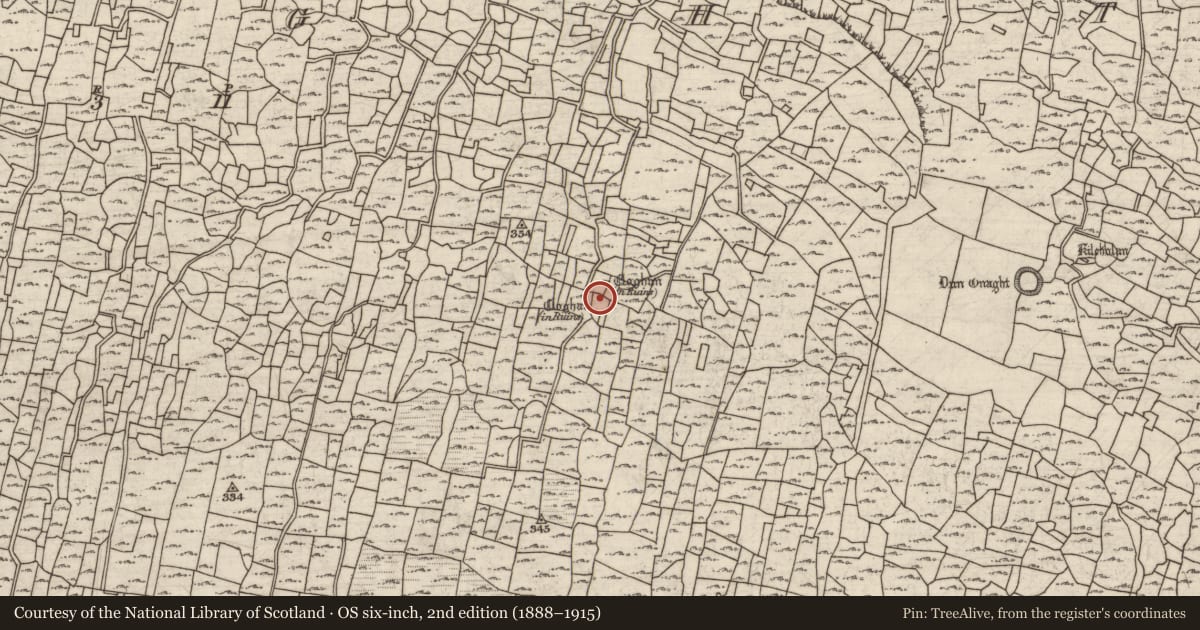 Ordnance Survey six-inch map, 2nd edition (1888–1915) covering the location of Clochan, Eoghanacht, County Galway, with a pin at the register's coordinates